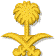 محسن بن محمد