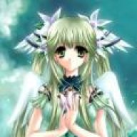 فراشة المنتدى