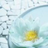 الأمل القادم